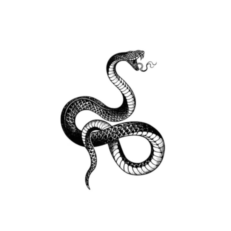 Serpent