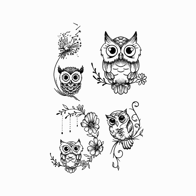 Owl Collection