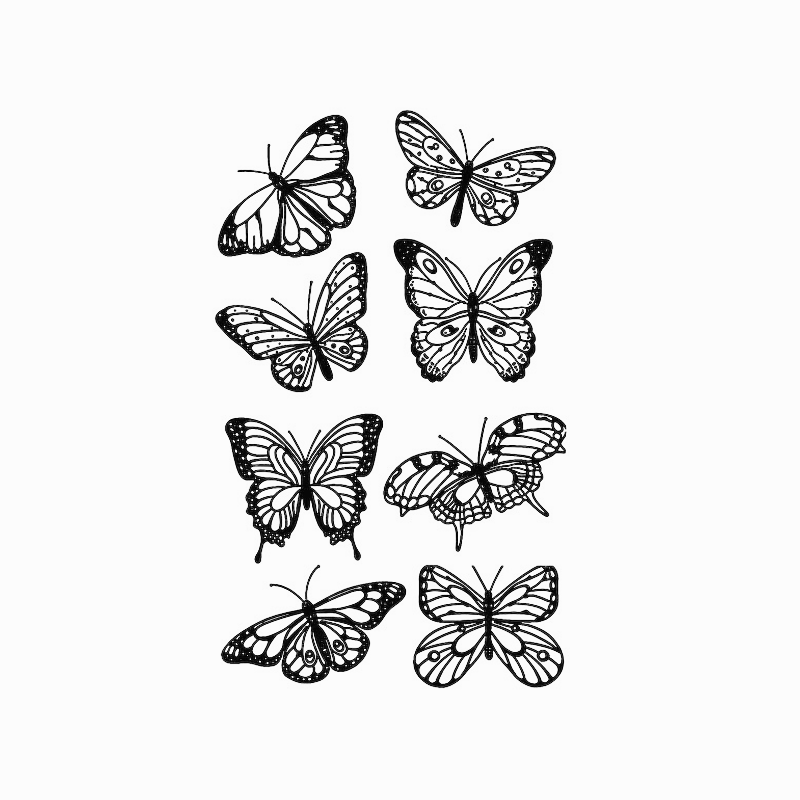 Butterfly Collection